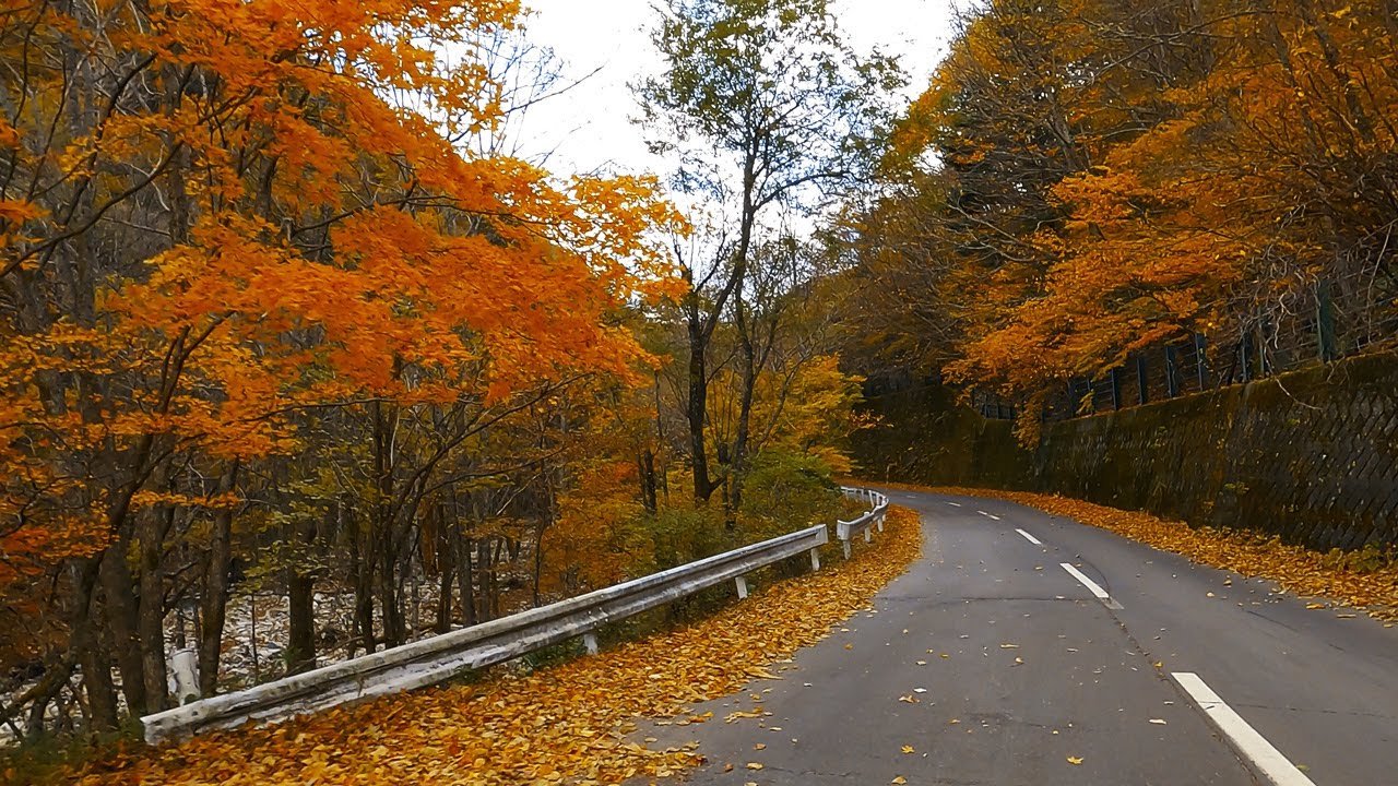 🏞️ 타와라야마 고개 전망대(다와라야마토게 덴보조) 이미지 4